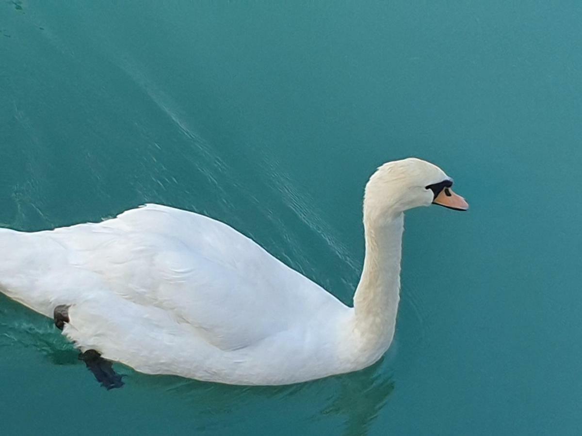 Appartamento garda felice Desenzano del Garda Esterno foto